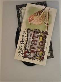 2025 Topps Allen & Ginter State Birds #SB-1 Eastern Bird — front