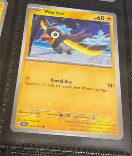 2022 Pokémon SV08 Surging Sparks #066 Wattrel — front