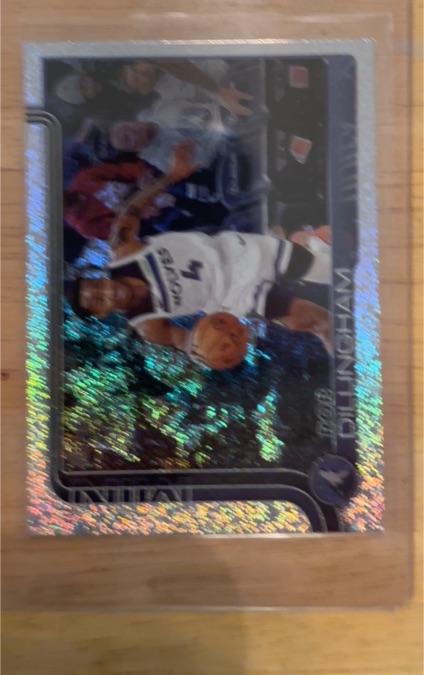 2025-26 Topps #114 Rob Dillingham — front