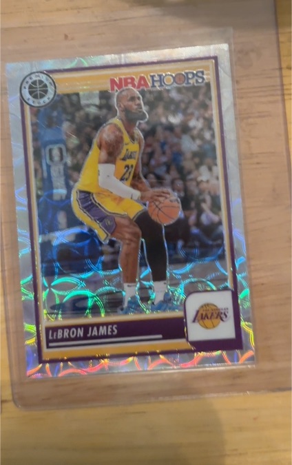 2023-24 Panini NBA Hoops Premium Stock #149 LeBron James — front