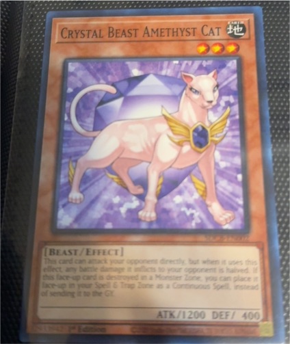 2007 Yu-Gi-Oh! FOTB-EN002 Crystal Beast Amethyst Cat — front