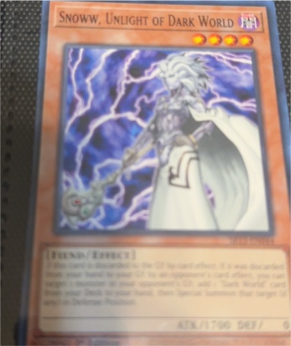 2013 Yu-Gi-Oh! SR13-EN044 Snoww, Unlight of Dark World — front