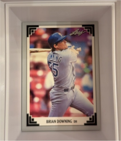 1991 Leaf #269 Brian Downing — front