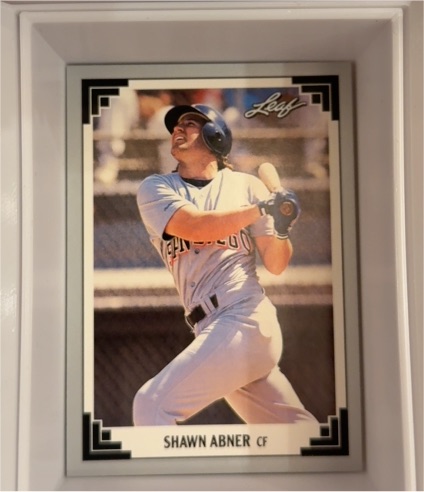 1991 Leaf Shawn Abner — front