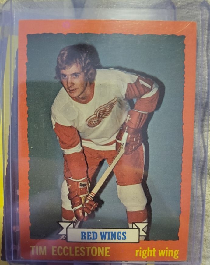 1973-74 Topps #124 Tim Ecclestone — front