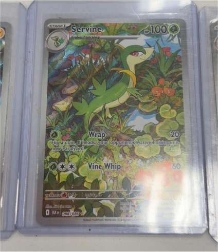 2025 Pokémon TCG Black Bolt #088 Servine Illustration Rare — front