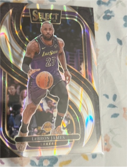 2024-25 Panini Select #111 LeBron James — front