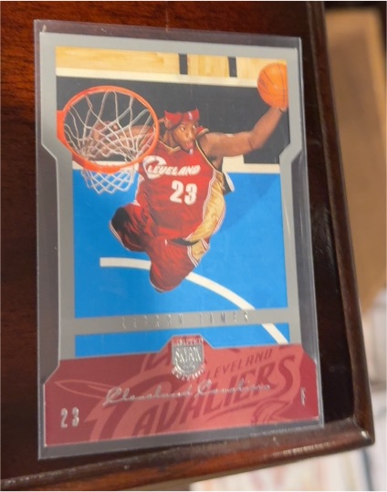 2004-05 Skybox Limited Edition #19 LeBron James Die Cut — front