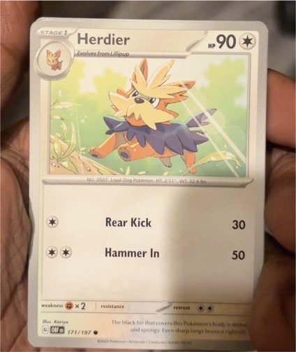 2023 Pokémon Scarlet & Violet Obsidian Flames #171 Herdier — front