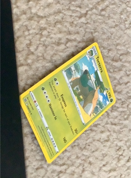 2023 Pokémon 007 Torterra — front