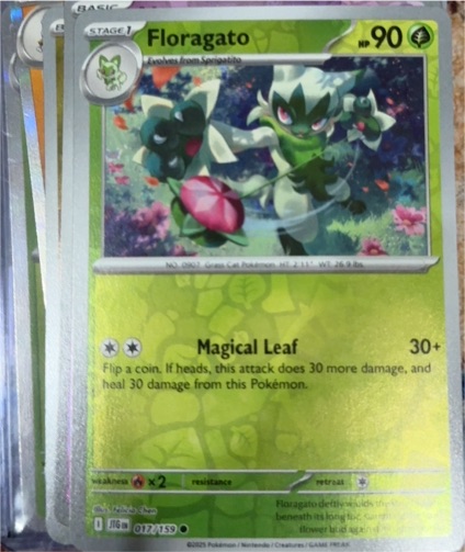 2025 Pokémon Journey Together #017 Floragato — front