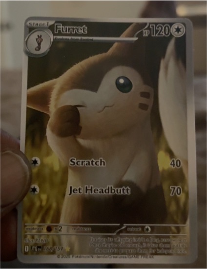 2023 Pokémon SV09: Journey Together #168/159 Furret — front