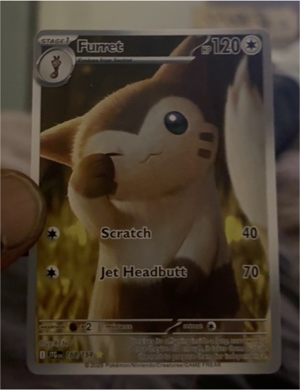2025 Pokémon TCG Journey Together #168 Furret — front