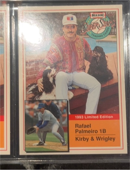 1993 Milk Bone Super Stars #8 Rafael Palmeiro Texas Rangers — front
