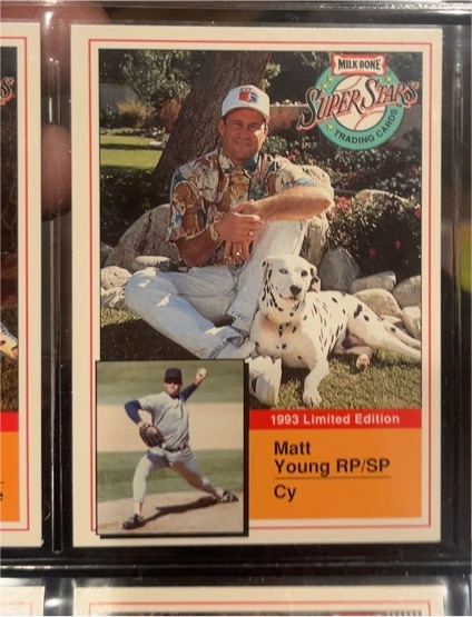 1993 Milk Bone Super Stars #9 Matt Young — front