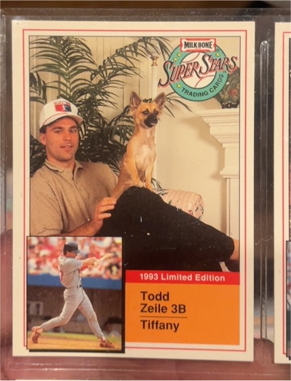 1993 Milk Bone Super Stars #10 Todd Zeile — front
