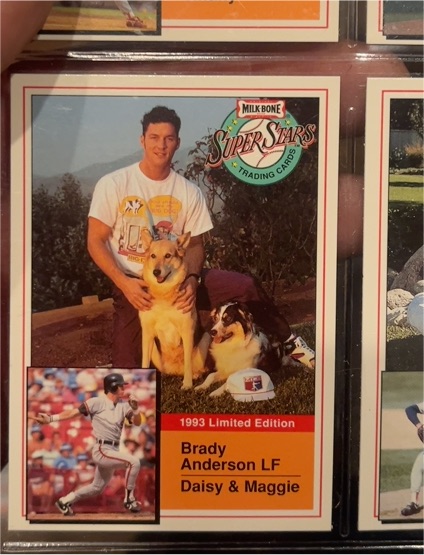 1993 Milk Bone Super Stars #19 Brady Anderson — front