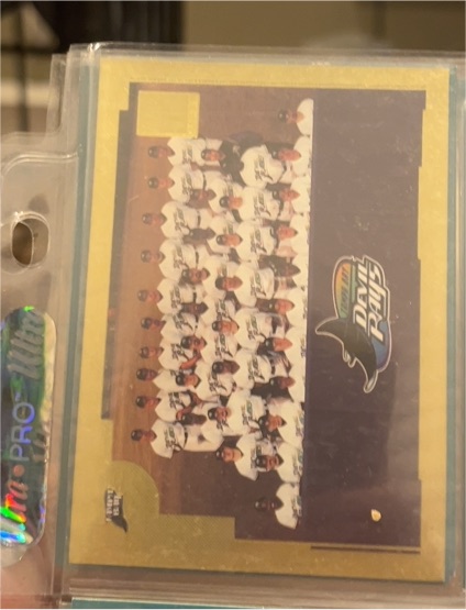 2001 Topps #779 Tampa Bay Devil Rays Team Card — front