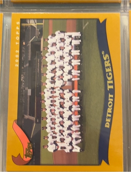 2002 Topps #651 Detroit Tigers Team Card — front