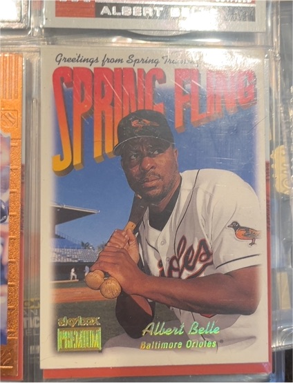 1999 SkyBox Premium #282 Albert Belle — front