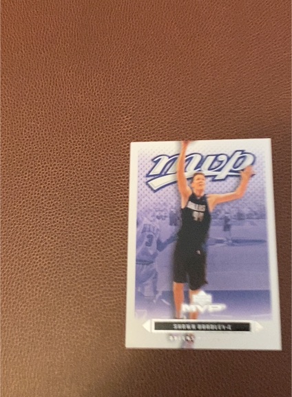 2003-04 Upper Deck MVP Zoran Planinic — front