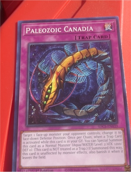 Yu-Gi-Oh! 2020 SDCS-EN039 Paleozoic Canadia — front