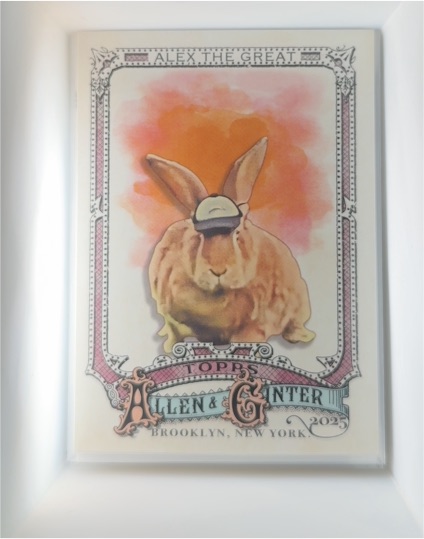 2025 Topps Allen & Ginter #230 Alex The Great — front