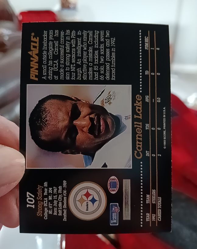 1993 Pinnacle #107 Carnell Lake — front