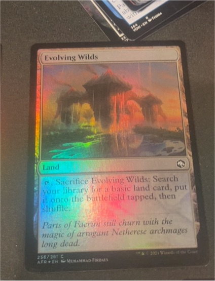 2023 Magic: The Gathering Adventures in the Forgotten Realms #256 Evolving Wilds — front