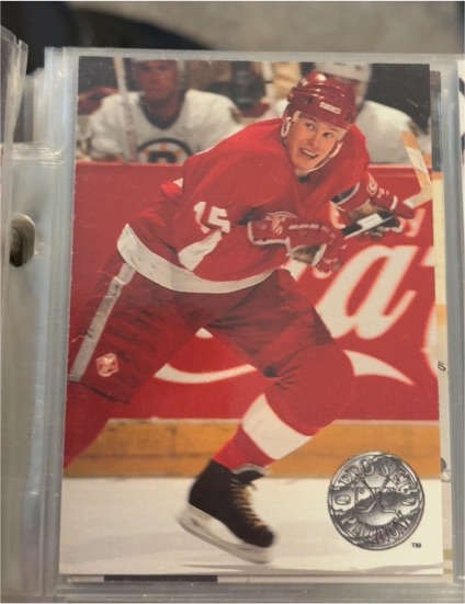 1991-92 Pro Set Platinum #29 Johan Garpenlov — front