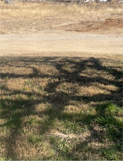 Grass and dirt ground with shadow — front