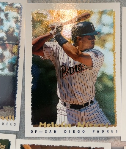 1995 Topps #243 Melvin Nieves — front