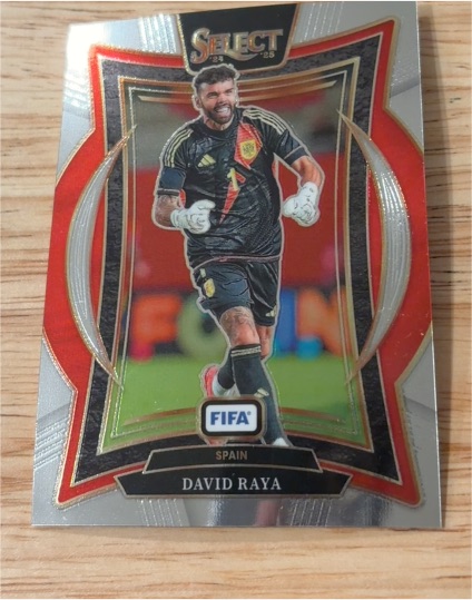 2024-25 Panini Select FIFA #89 David Raya — front