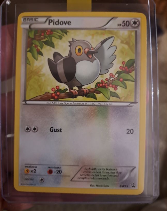 2011 Pokémon Emerging Powers #80 Pidove — front