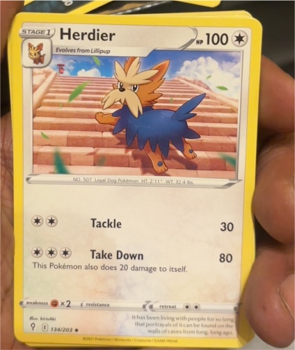 2021 Pokémon SWSH07 Evolving Skies #134 Herdier — front