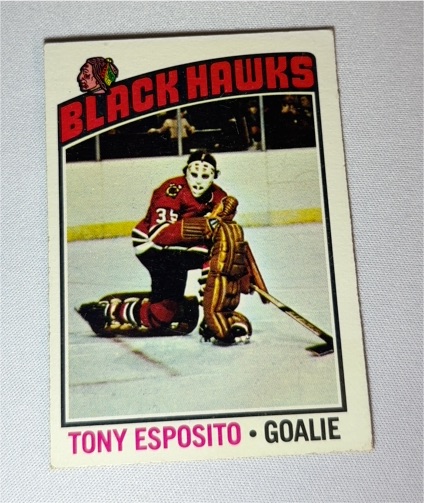 1976-77 Topps #100 Tony Esposito — front