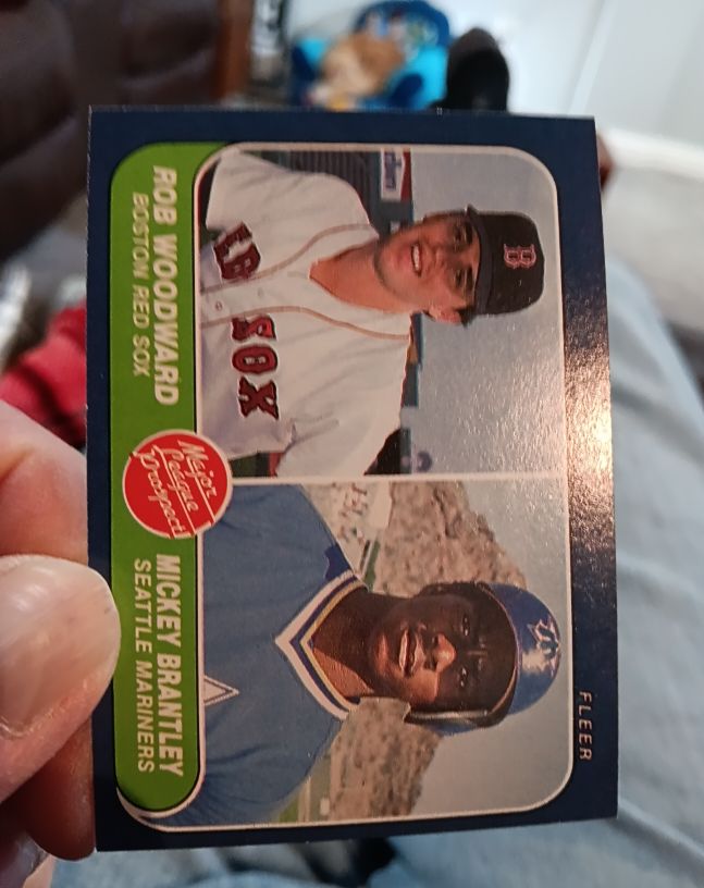 1986 Fleer #651 Rob Woodward / Mickey Brantley — front