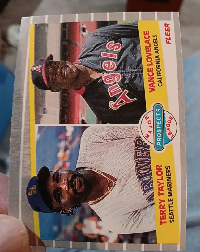 1989 Fleer #651 Terry Taylor / Vance Lovelace — front