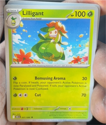 2023 Pokémon Scarlet & Violet Black Bolt #007 Lilligant — front