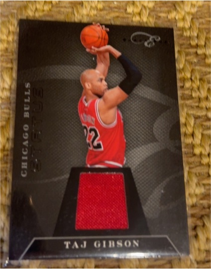 2010-11 Panini Elite Black Box #95 Taj Gibson — front
