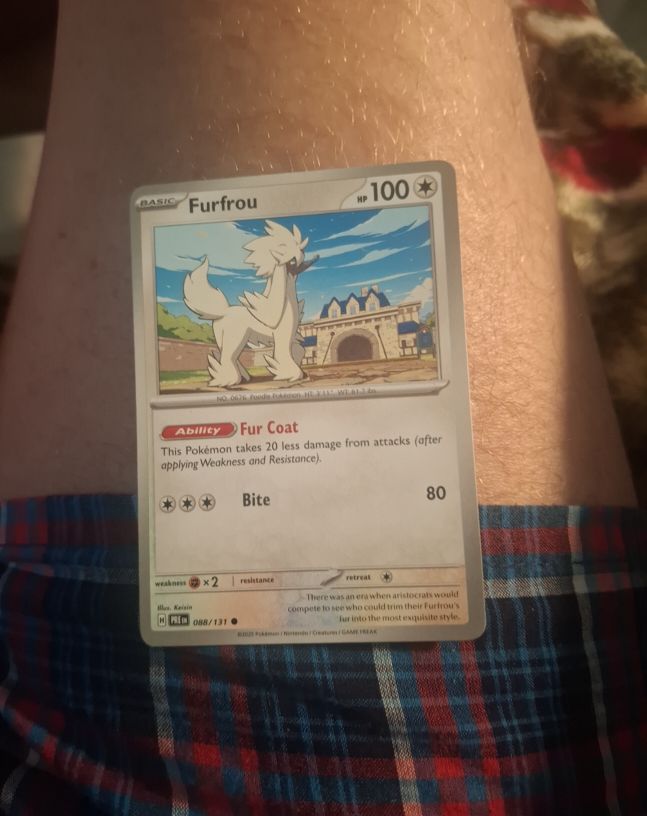 2025 Pokemon Prismatic Evolutions #088 Furfrou — front