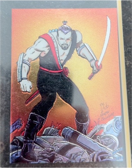 1992 Comic Images Valiant Rookies Chromium #Rai — front