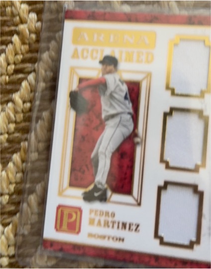 2016 Panini Pantheon Arena Acclaimed Pedro Martinez — front