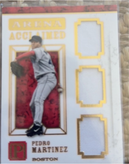 2016 Panini Pantheon Arena Acclaimed #AA-PM Pedro Martinez — front