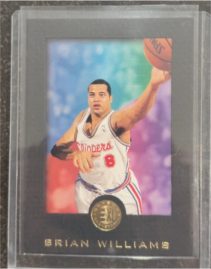 1995-96 SkyBox E-XL #38 Brian Williams — front