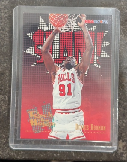 1995-96 NBA Hoops #376 Dennis Rodman — front