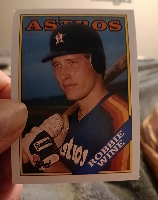 1988 Topps #119 Robbie Wine — front