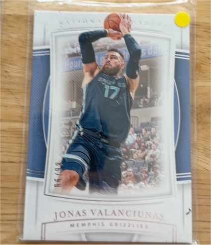 2019-20 Panini National Treasures #45 Jonas Valanciunas — front