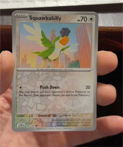 2025 Pokémon SV10: Destined Rivals #160 Squawkabilly — front