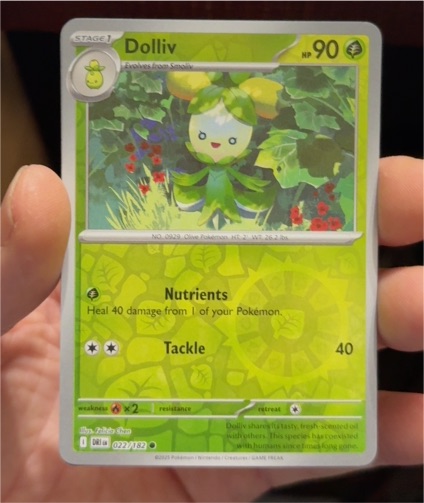 2025 Pokémon #22 Dolliv — front